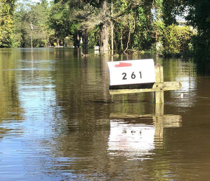 Hurricane Matthew damage near Vanceboro, N.C. today. Clean up is underway throughout the industry, as it is with citizens and other businesses along the southeastern coast. Photo by Todd Michalek, New Bern Sun Journal. Used with permission.