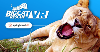 Big Cat Rescue VR - Springboard