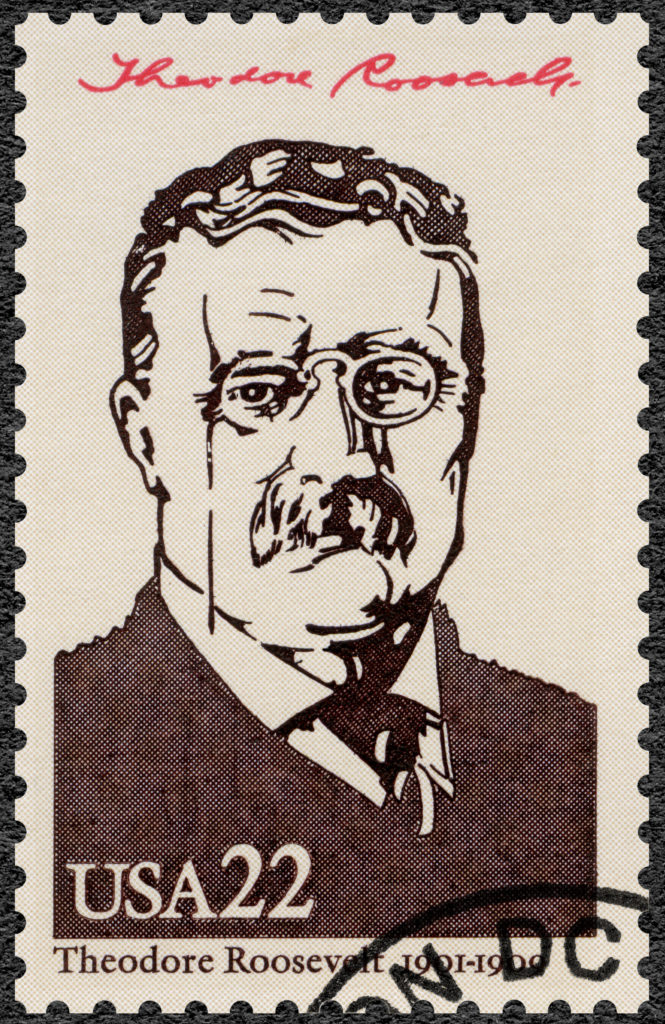 Teddy Roosevelt