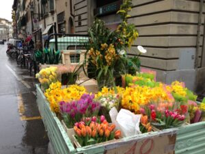 Italian flower cart - Jersey Jack 0423